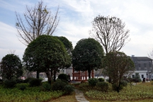 松滋工廠6